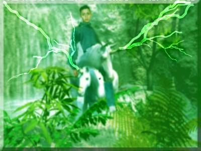 voila c votre prince en ligne